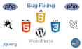 do bug fixing in core php laravel wp css jquery javascript ajax