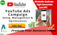 setup, manage and optimize video ads campaign on youtube