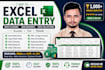do accurate excel data entry, data cleaning and web research