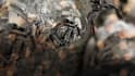 make your images into matte paint animation
