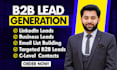do email, linkedin and b2b lead generation within 24 hours