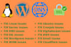 fix vps, linux, dns, whm, SSL, wordpress related issues