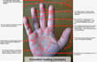 give you a psychic palm reading in 24 hours