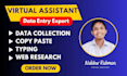 do online offline excel data entry, data collection, web research