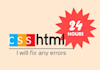 fix any CSS or html errors/bugs/issues in 24 hours