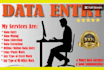 do data entry, web research and data collection