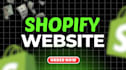 create a professional shopify website and shopify store