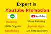 do organic youtube channel rank and promotion