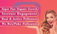 do fast instagram organic growth