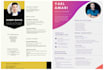 design professional resume, CV writing within 24 hrs