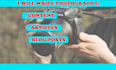 write photography and event related  articles and blog posts