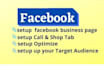 set up and optimize your facebook business page or fan page