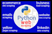 do python web scraping services for data extraction