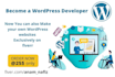 tutor you to code in python, c, cpp or teach you wordpress