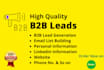do b2b lead generation, data entry, and email list building