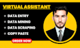 be your virtual assistant for data entry, copy paste and web research