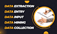 do accurate data entry, collection, copy paste and input data with in 24 hours