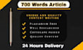 write 700 words SEO article on any niche