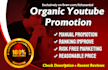 boost your video by organic youtube promotion