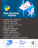 do python web scraping data extraction,  python scripting,task automation code