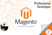 be your reliable magento developer