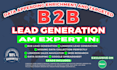 do data enrichment and targeted b2b lead generation
