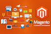 fix any magento 2 issues,bugs fix,paypal, expert magento 2