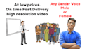 do whiteboard doodle animation video with voiceover