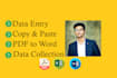 do fast data entry excel,copy paste,PDF to excel in 3 hours