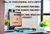 do professional business data entry