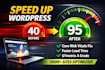do wordpress website speed optimization