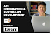 do all kinds of API integration and custom API development