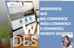 design wix website and landing page