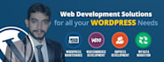build a professional wordpress website with advanced customization