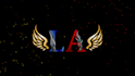 animate intros, your logo my animation
