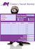 design your fillable form or invoice