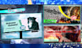 do real captivating billboards and signage designs