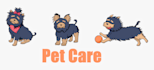 write informative content on any pet, dogs and cats etc