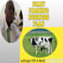 write startup business plan