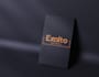make modern minimalist and luxury logo design