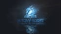 create custom 2d 3d motion graphics logo animation