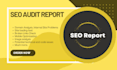 provide a professional website SEO audit report within 24 hours