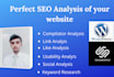 do a complete analysis of your website and video review