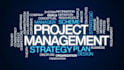 provide professional project management services