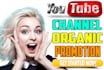 professionally promote your youtube video and channel