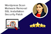remove malware from wordpress