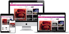 fix woocommerce critical errors or build your complete store