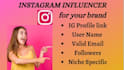 find instagram influencer for your brand