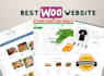 build a business wordpress woocommerce website for your online store