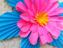 make beautiful paper craft videos in 24 hours